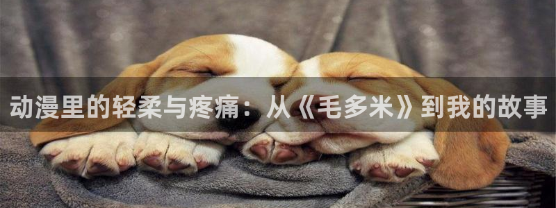 刃牙死囚篇风车动漫