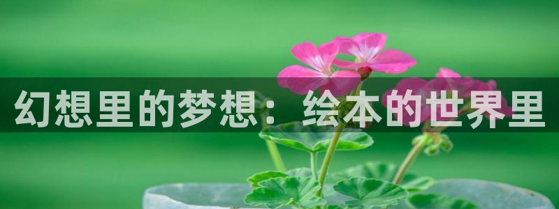 风车动漫网站手机版下载